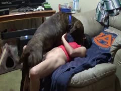 Hubby lets his large dog explore his wife's fur pie in this animal sex video 